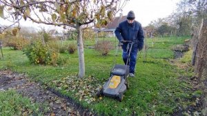 Подготовка сада к зиме.