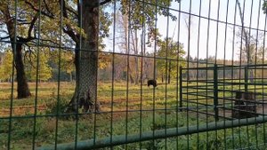 Приокско-террасный заповедник