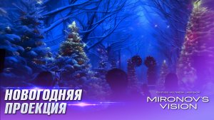 Проекционное шоу на Новый Год
