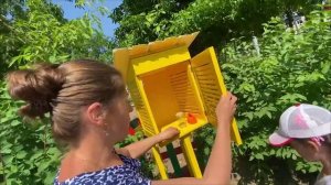 территория ГБДОУ 51