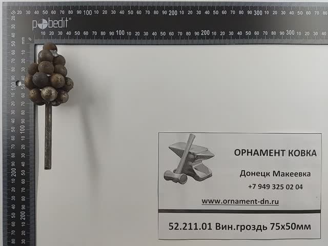 52.211.01 Вин.гроздь 130*50 д.15