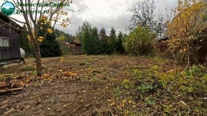 Расчистка участка под ключ.