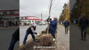 🌳Во Владимире продолжаются работы по озеленению!