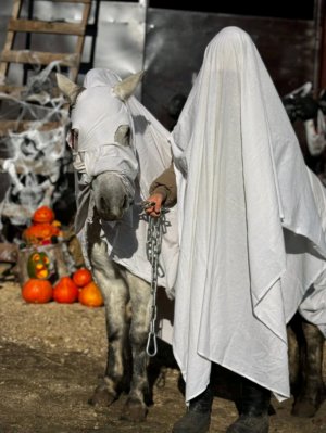 продолжаем