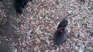 Пошли, пошли.