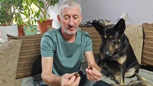 Делим вкусняшки