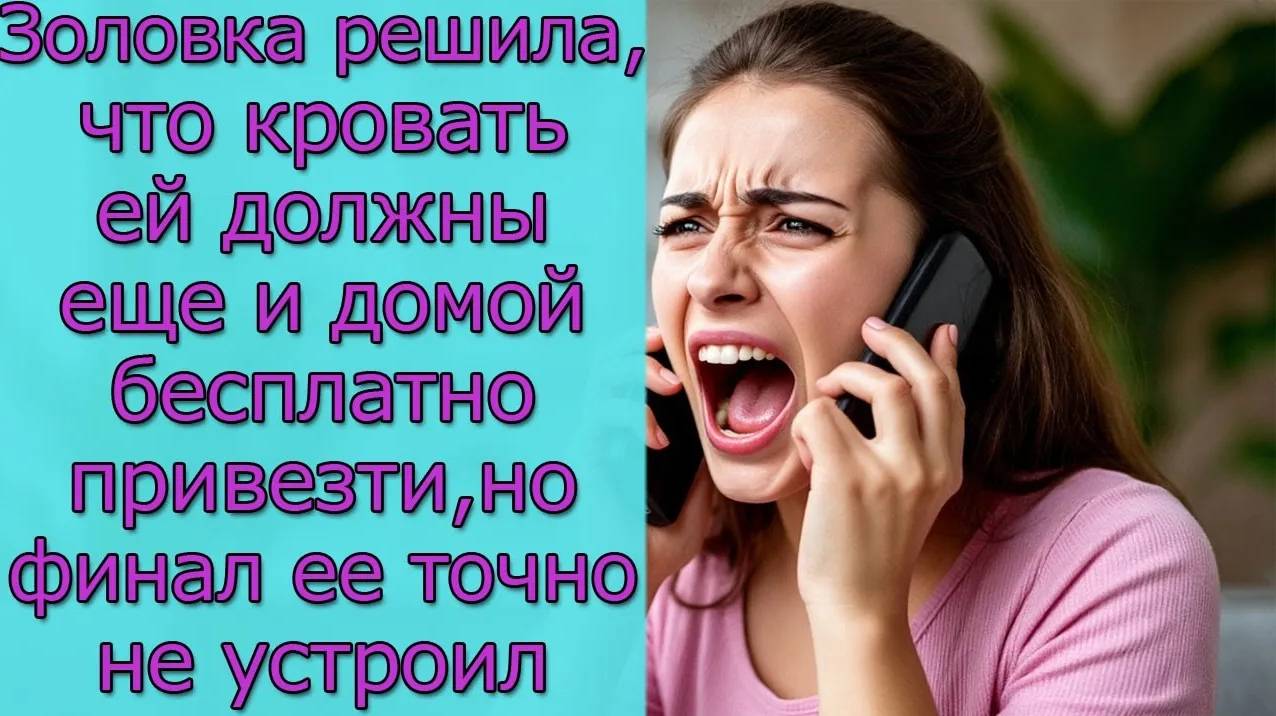 Золовка решила, что кровать ей должны еще и домой бесплатно привезти, но финал ее точно не устроил смотреть онлайн