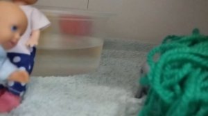 Нашли котёнка на улице.🐈😉😁 Сабрина и Артём: весёлые истории кукол Барби.