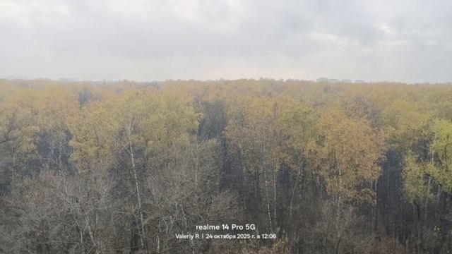 Москва, лесопарк Лосиный остров 🌳🌲🍂🌳🌲🍂🌳🌲 24.10.2025 смотреть онлайн