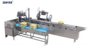 Автоматический вакуумный загрузчик ZENYER 615 30.000 яиц/час