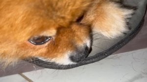 Всем самого доброго вечера и спокойной ночи.