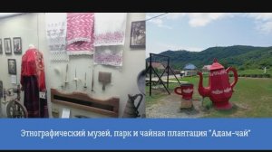 Этнографический музей, парк и чайная плантация