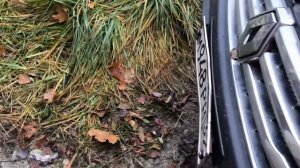 Авто лампы Philips h7 Vision Plus 60%