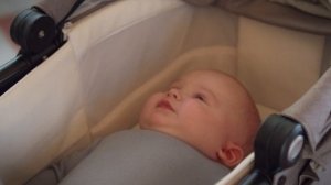 Коляска Nuna MIXX next