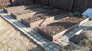 Собираем урожай. Готовим участок к зиме. Делаем место под мангальную зону.