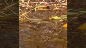 Для всех хорошим быть не сможешь...