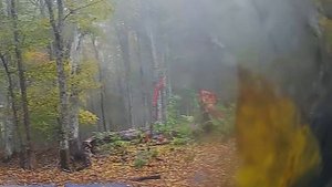 10-12.10.25 лопухи