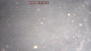 Вор обл Привольный фильтр в потай