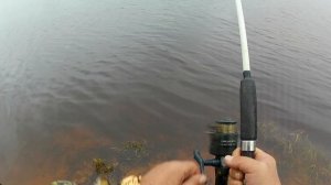 Луга 30-31 октября.