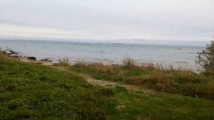 Демурзель море впервые 😍