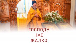 Господу нас жалко. Проповедь. Иерей Дмитрий Михайлюк.19 октября 2025 г.