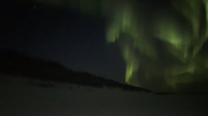 ПРОВЕРКА ЛОВУШЕК НА ЖИВЦА | КРАСОТА СЕВЕРА | 30.10.2025