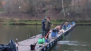 Утро на водоёме