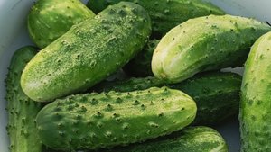 "Огурец - больше ,чем просто овощ: раскрываем все преимущества."