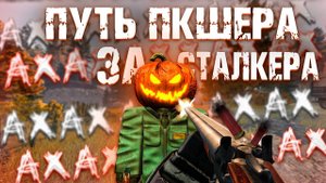 ПУТЬ ПКШЕРА НО! ЗА СТАЛКЕРА! С НУЛЯ! STALCRAFT X!