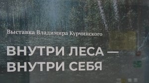 выставка Владимира Курчинского "Внутри леса - внутри себя"