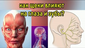Щеки давят на тройничный нерв, ухудшают здоровье глаз и зубов, портят зрение. Методы декомпрессии