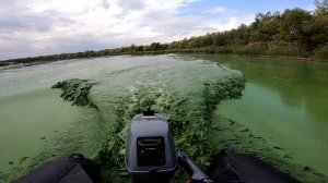 Поход на лодках Кочетовка-Усть-Донецк. В поисках щупака