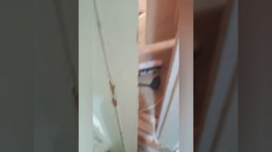 ГРЕННИ И ГРЕНДПА ПРЕСЛЕДУЮТ НАС! ДОМ ГРЕННИ В РЕАЛЬНОЙ ЖИЗНИ (ЧАСТЬ 3)