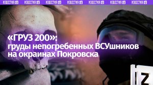 «Это вообще черепушка!»: горы «двухсотых» ВСУ заполонили окраины Покровска — жесткие кадры