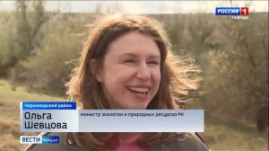 100 фазанов и 250 уток-крякв выпустили в степи Сакского и Черноморского районов