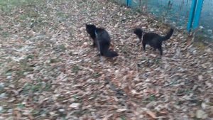 Отдохнули и пошли.