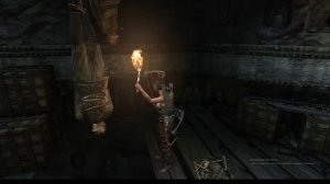 рис оф зе томб райдер 1 серия