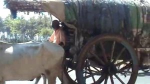 Starlight 7, 2a - Oxcart Travel in India