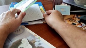 Процессы, покупки, подарочек, природа, коты, шашлык 🤗🤗🤗🤣