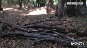 12 ЛЕТ ЗДЕСЬ ИСЧЕЗАЮТ ЛЮДИ. ВИЖУ КРАСНЫЕ ОГОНЬКИ.