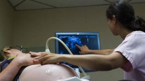 ЭХО сердца плода при беременности