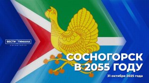Сосногорск в 2055 году
