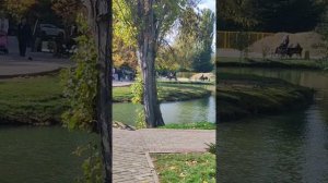 в Гагаринском парке и в кафешке концерт