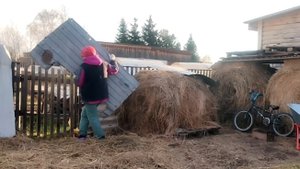 31-10-2025 Продаю сено / мою окна / наслаждаюсь теплым днем / козы.