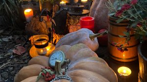 #осень #тыква #красотаприроды