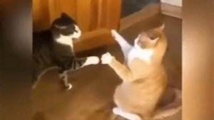 "..Семь раз упадёт праведник, и встанет; а нечестивые впадут в погибель.. " / Притчи 24:16 / Библия