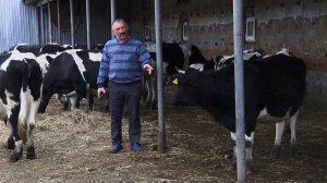 Сотрудники ветеринарной станции рассказали, для чего нужна маркировка сельскохозяйственных животных