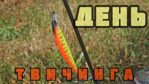 252-День твичинга.(26.09.2025)