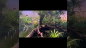 Релакс. Часть 5. 2025г. Аквариумные рыбки: неоны, сомики….