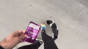 Беженец🇧🇬Несебр. ЭМОЦИИ ОТ БОЛГАРИИ. ГОТОВЛЮ В МИКРОВОЛНОВКЕ. КОРМЛЮ КОТЕЕК И РАЗГОВАРИВАЮ С СОБОЙ